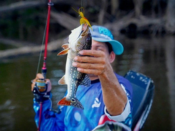 Рыбалка в Амазонии (2)