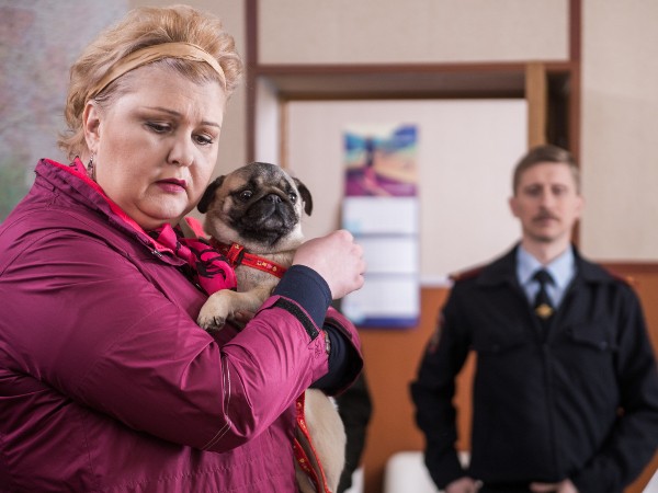 Укрощение свекрови. Продолжение (3)