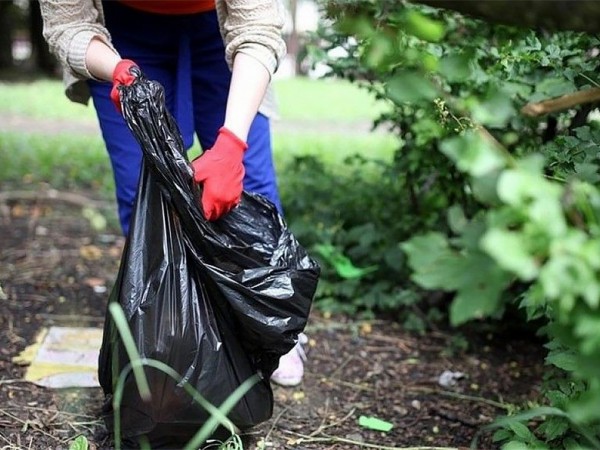 Почему бы не сжечь весь мусор