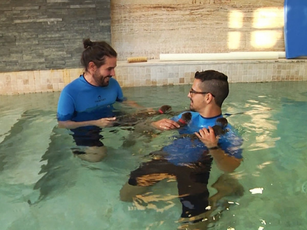 Вет-Квартет (2)