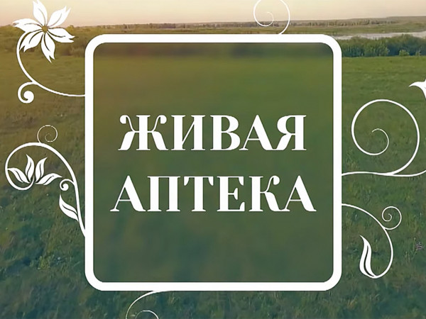 Живая аптека