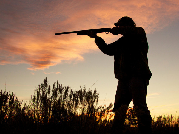 Охоты и охотники