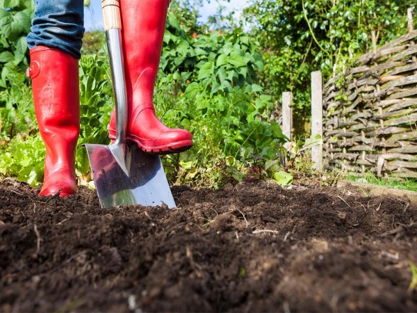 Умные грядки