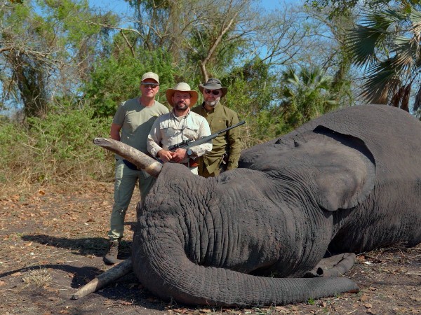 В джунглях Мозамбика