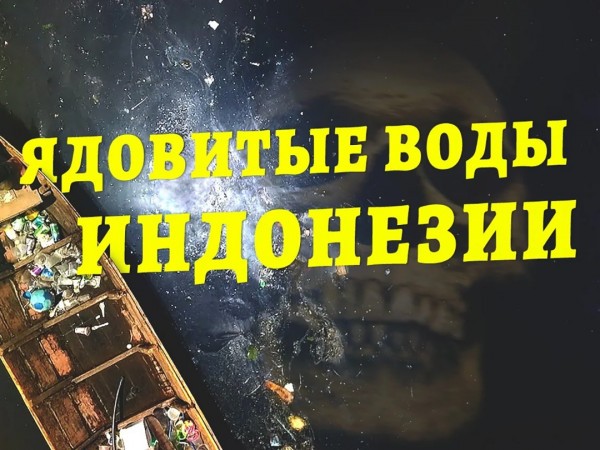 Ядовитые воды Индонезии
