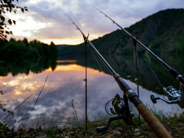 Сто вопросов про рыбалку