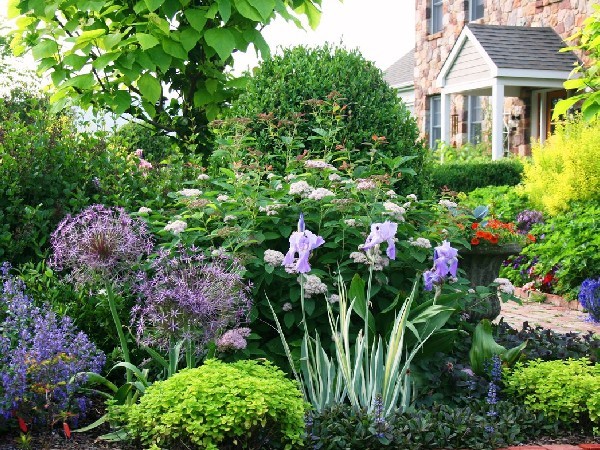 Садовый доктор