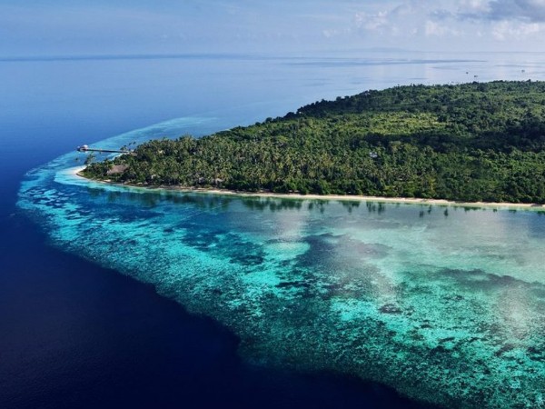 Тайны острова Сулавеси