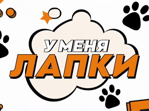 У меня лапки