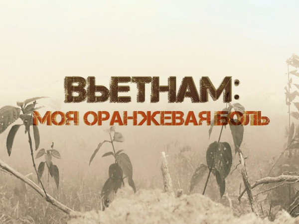 Вьетнам. Моя оранжевая боль