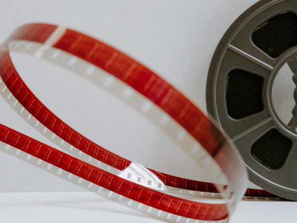 Остров морского котика