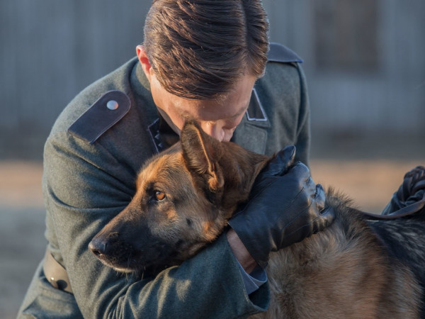 Моя собака — герой