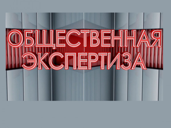 Общественная экспертиза
