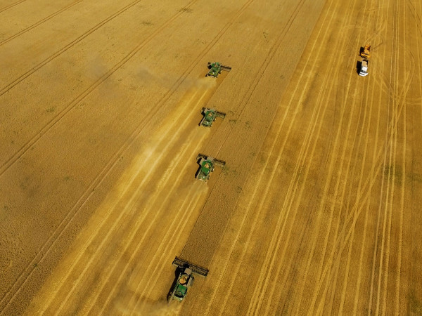 Накормить планету. Мегаиндустрия