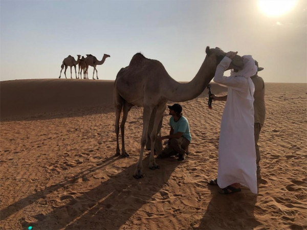 Магия ветра и песка