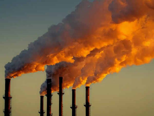 Обуздать углерод. Топливо