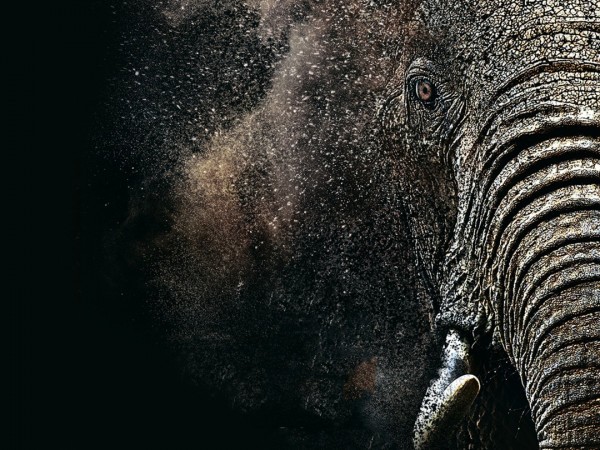 Спасти планету