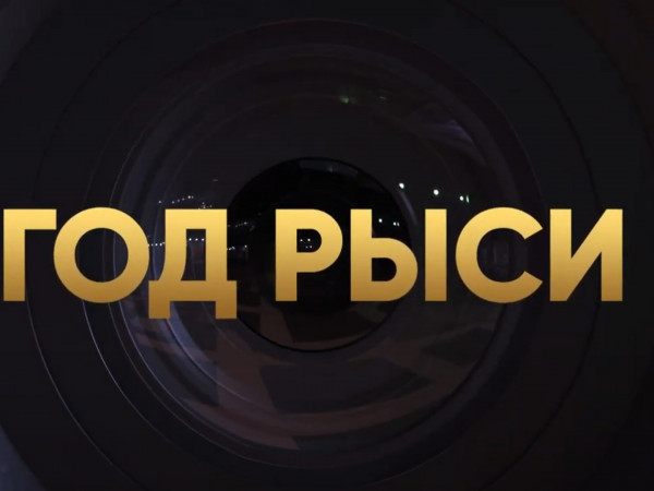 Год Рыси. Наталья Дьячкова