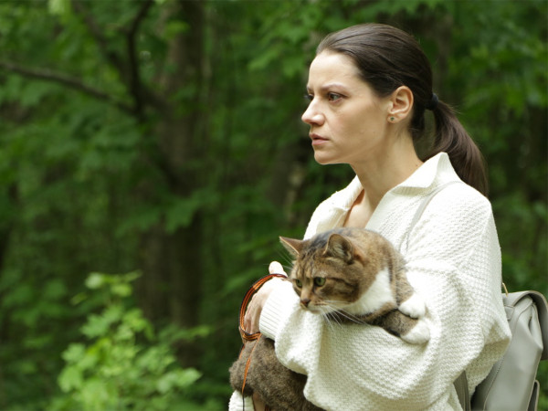 Женщина с котом и детективом (2)