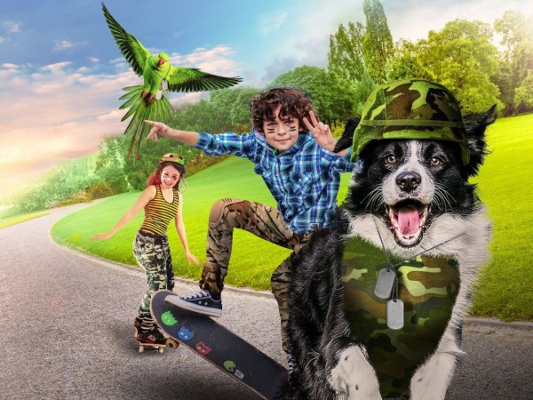 Лохматый детектив