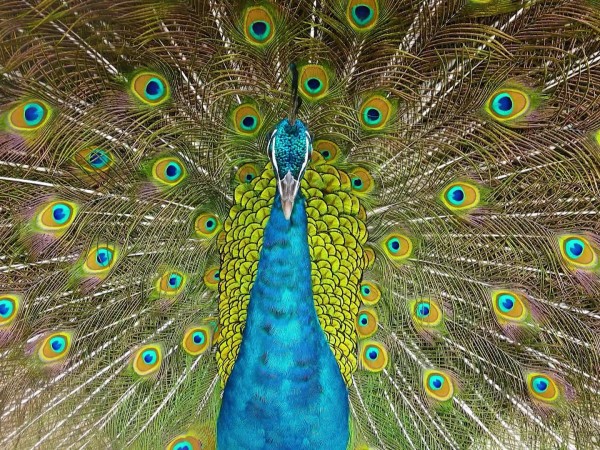 Свидание с природой (2)