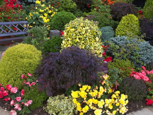 Зеленый сад