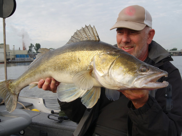 На дальних берегах