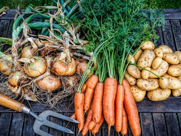 Лучки&Пучки (2)