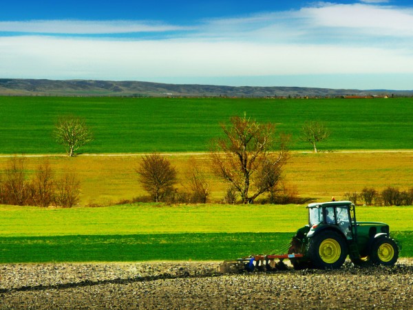 Сельские профессии (2)