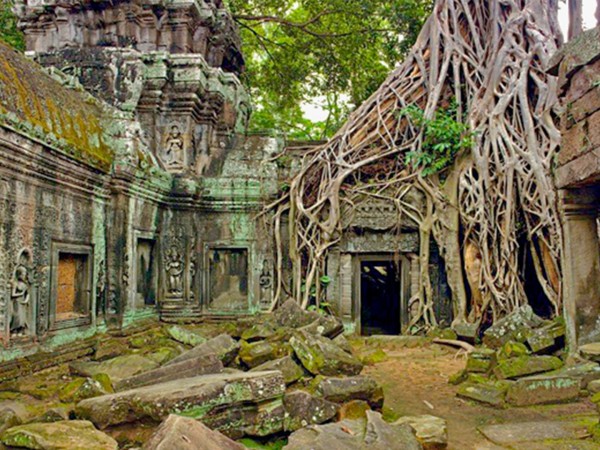 Дикая Камбоджа