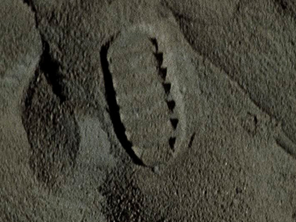 Лунная миссия