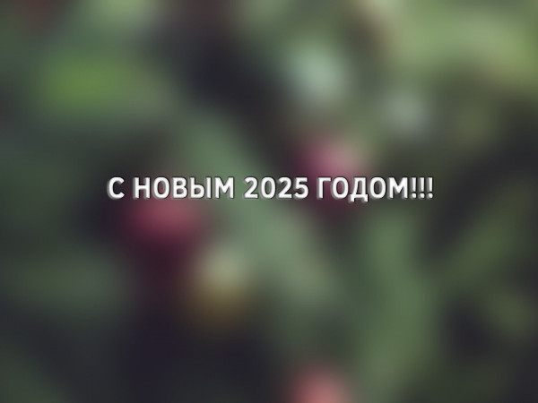 С Новым 2025 годом!