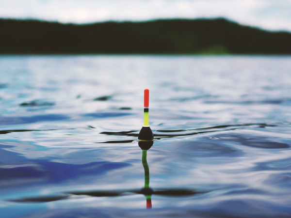 Дикий ручей