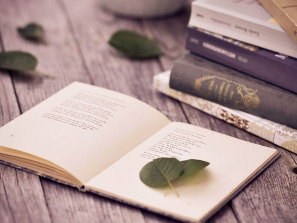 Время читать