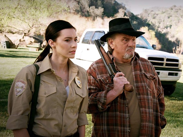 Акульи плотины