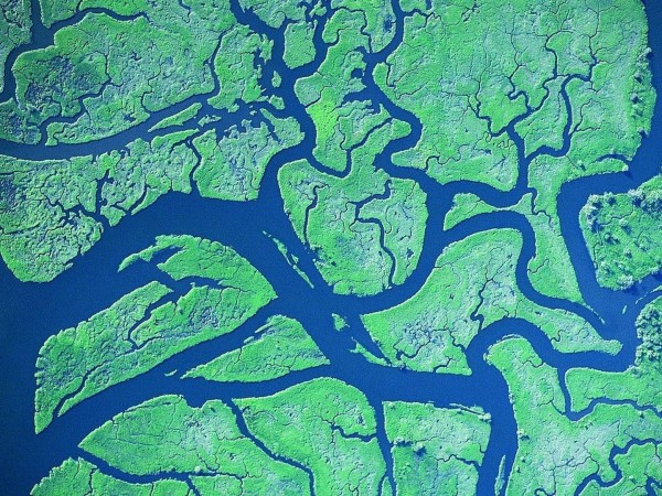 Дельты великих рек (2)