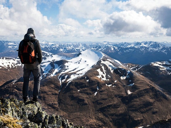 Только наверх