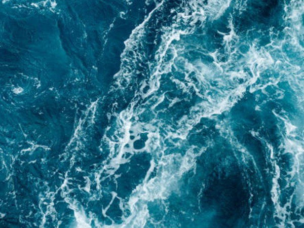 Либо ты, либо тебя