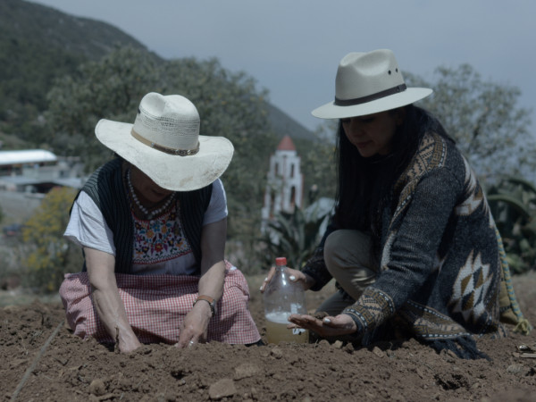 Что едят женщины