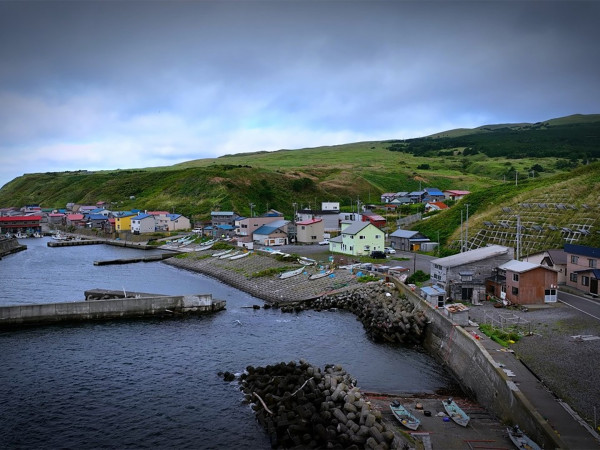 Искусство собирать водоросли