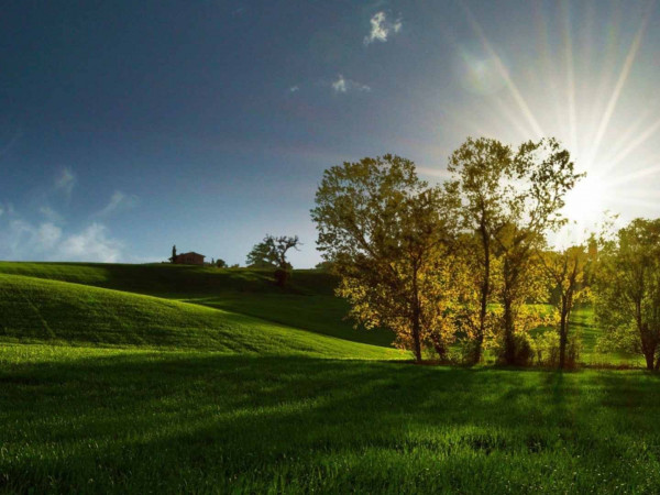 Погода на любой вкус