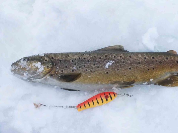 Зимняя рыбалка в Удмуртии (2)