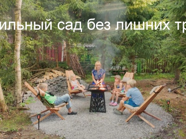 Стильный сад без лишних трат