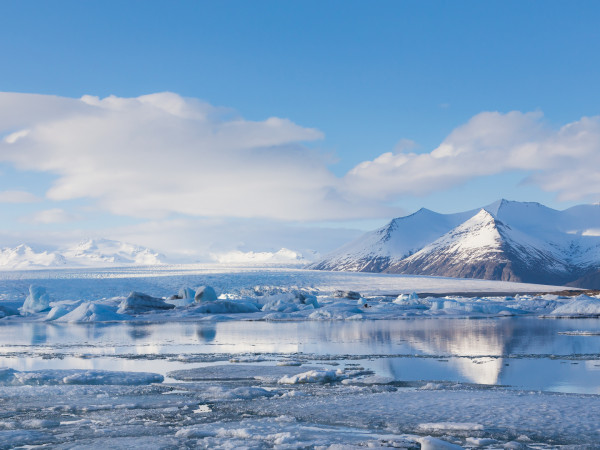 Мир дикой природы (2)