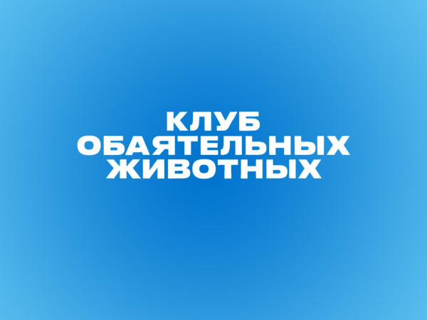 Клуб обаятельных животных