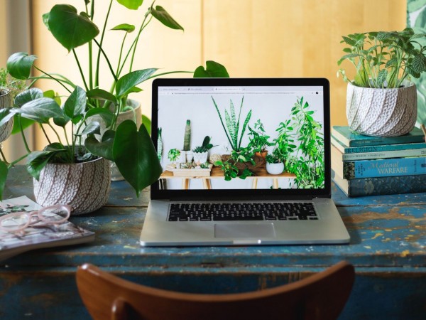 Офисное садоводство (2)