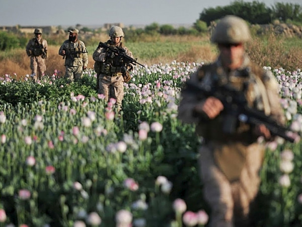 Кока. Война на уничтожение