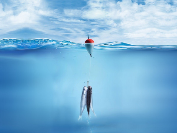 Фидер и ничего лишнего