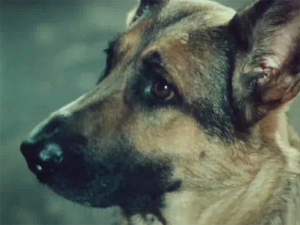 На привязи у взлетной полосы (2)