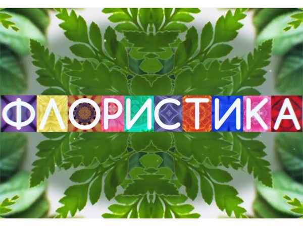 Флористика (2)